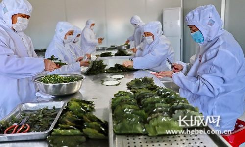 秦皇岛市海港区绿色农副产品稳产保供实践成效显著