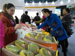 攀枝花特色农副产品亮相成都 阳光味道，席卷蓉城味蕾