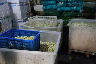 凌晨行动！常熟农副产品交易城惊现