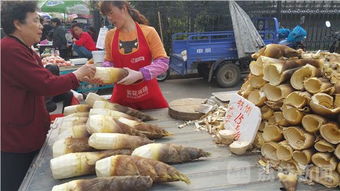 节前农副产品批发市场 最疯狂的交易时刻
