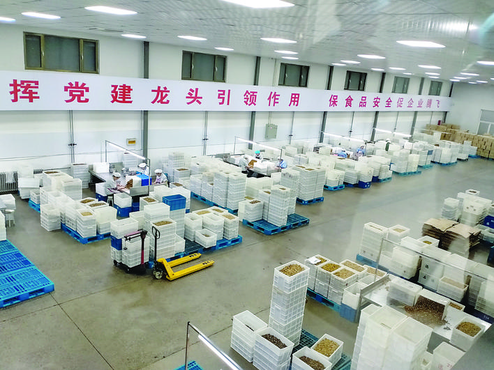 汾阳市加大力度扶持农副产品深加工，擘画乡村振兴新蓝图